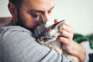 Immunsupprimierte sollten von Katzen besser Abstand halten