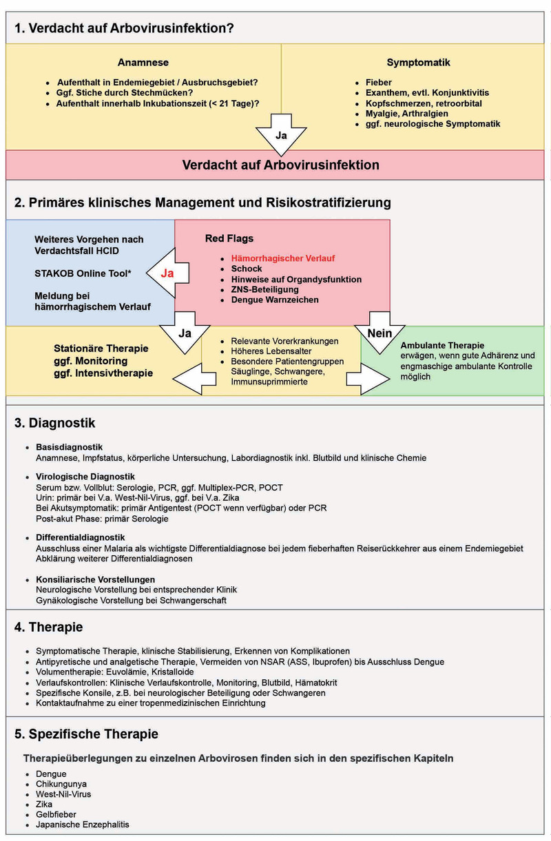 Abb. 3   Klinischer Algorithmus bei Verdacht auf eine Arbovirose